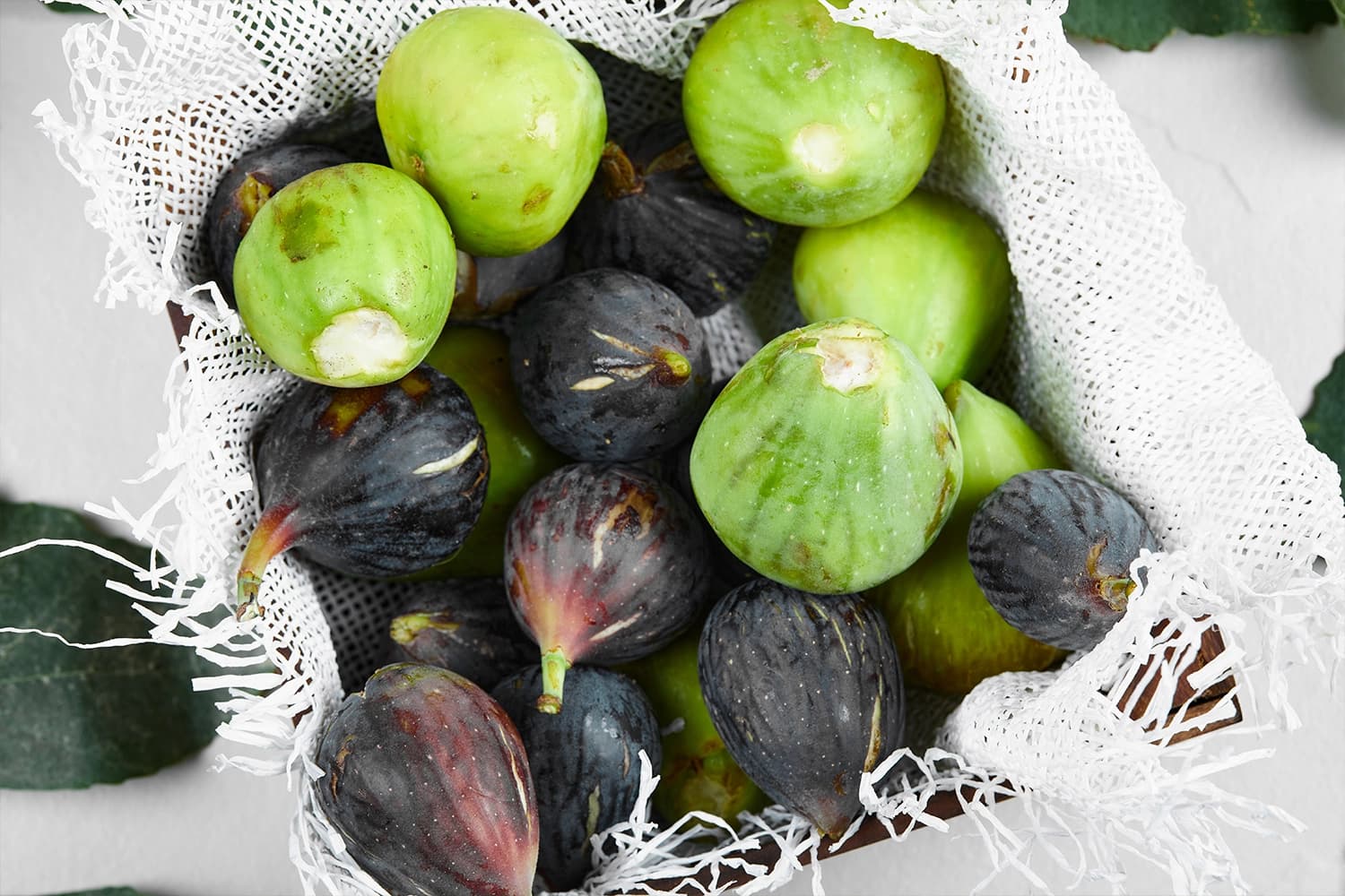 Fig