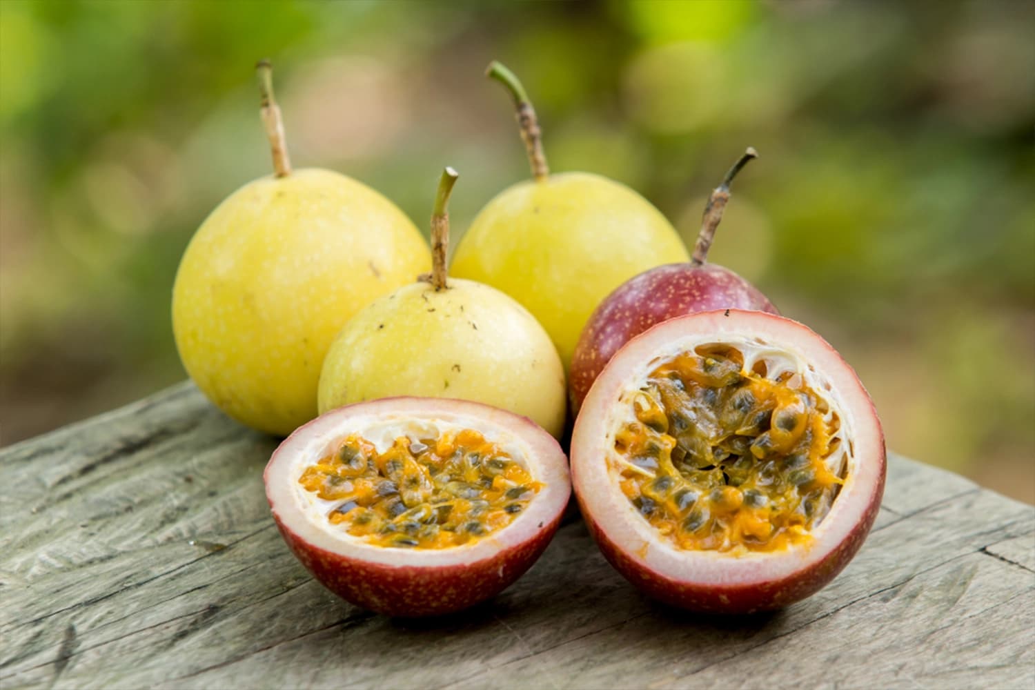 Passion Fruit