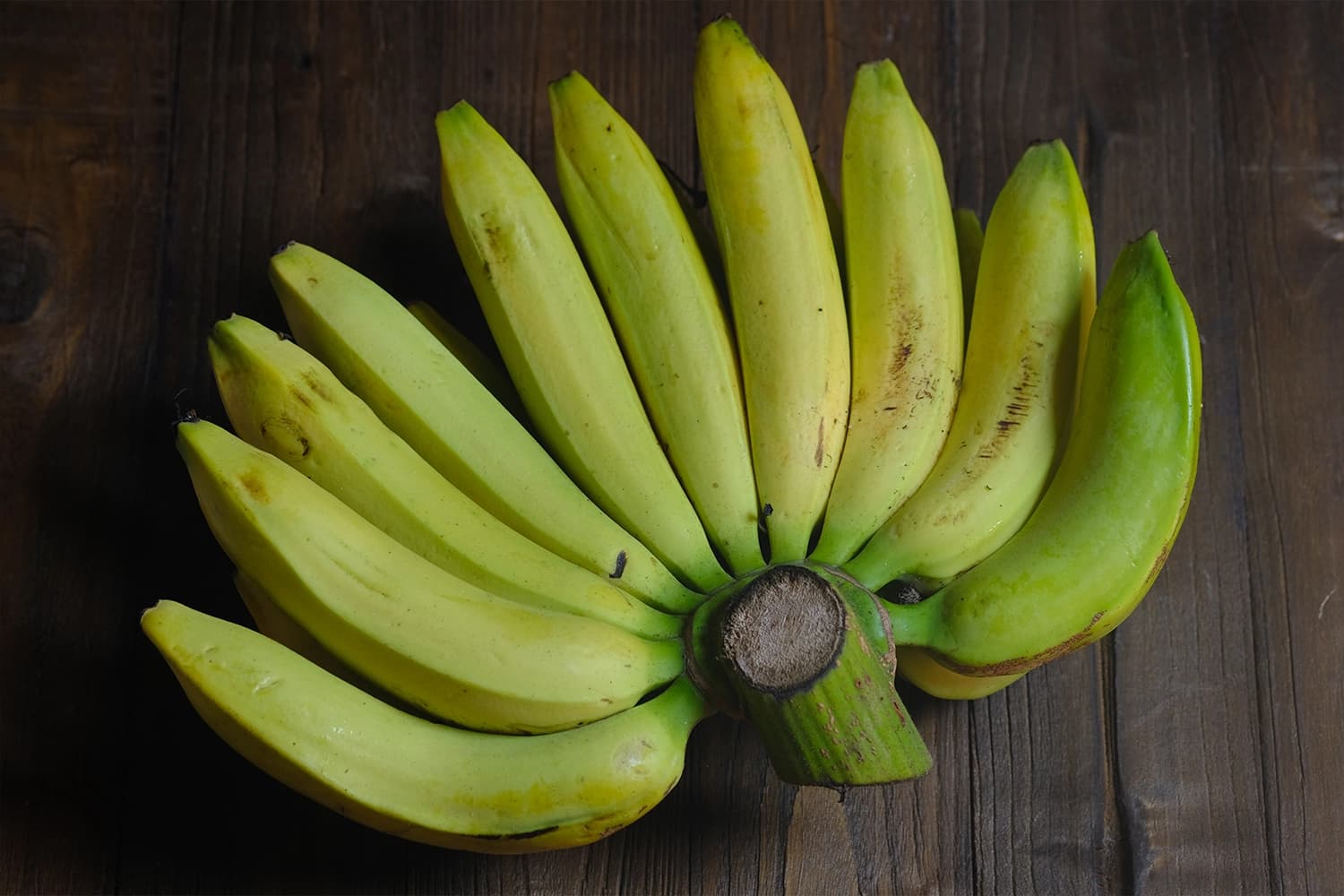 Cavendish Banana